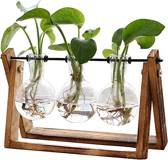 Air Planter Bulb Glass With Wooden Stand