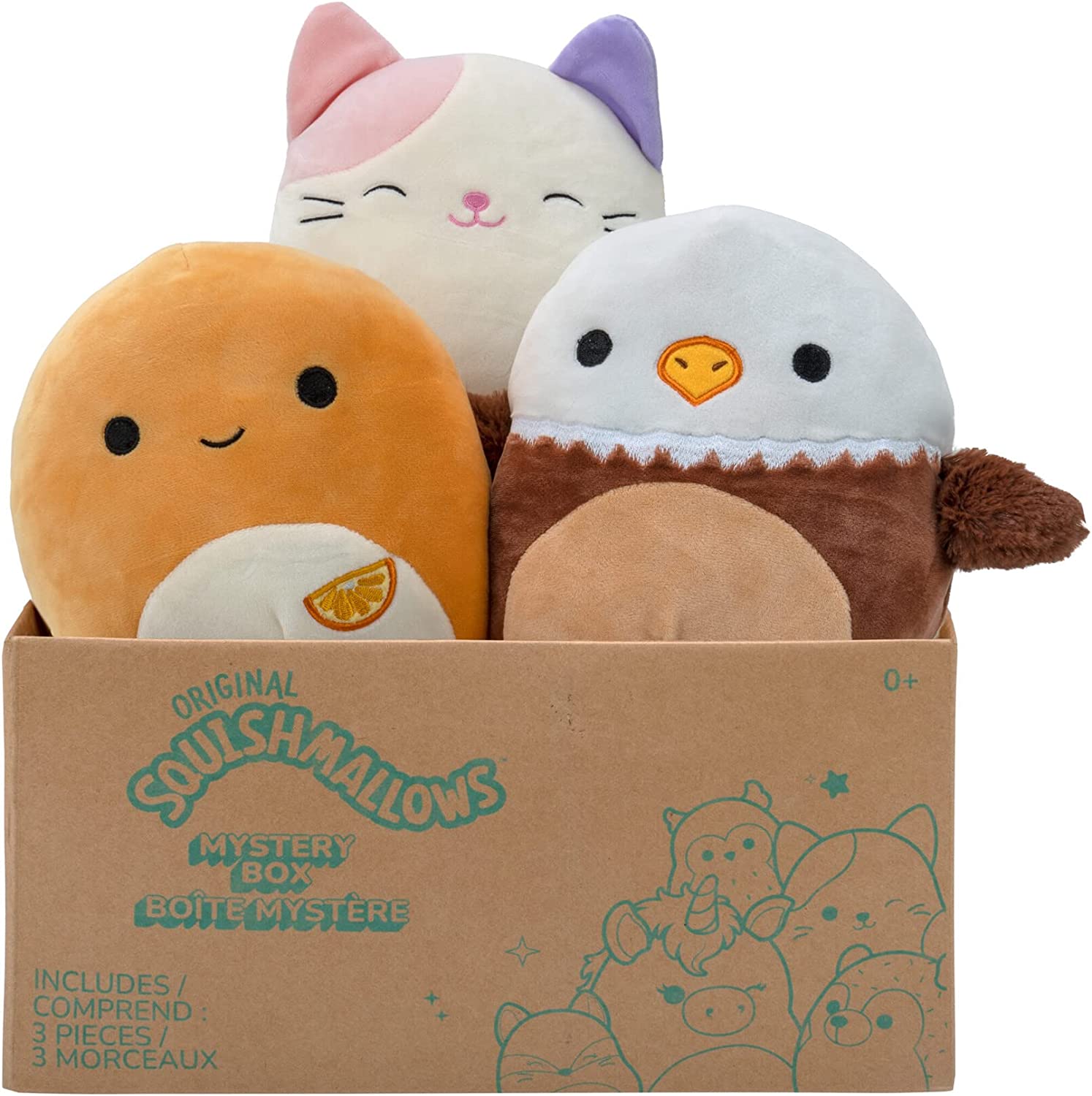 Plush Mystery Box