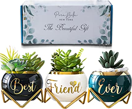 3 Pcs Succulent Pots