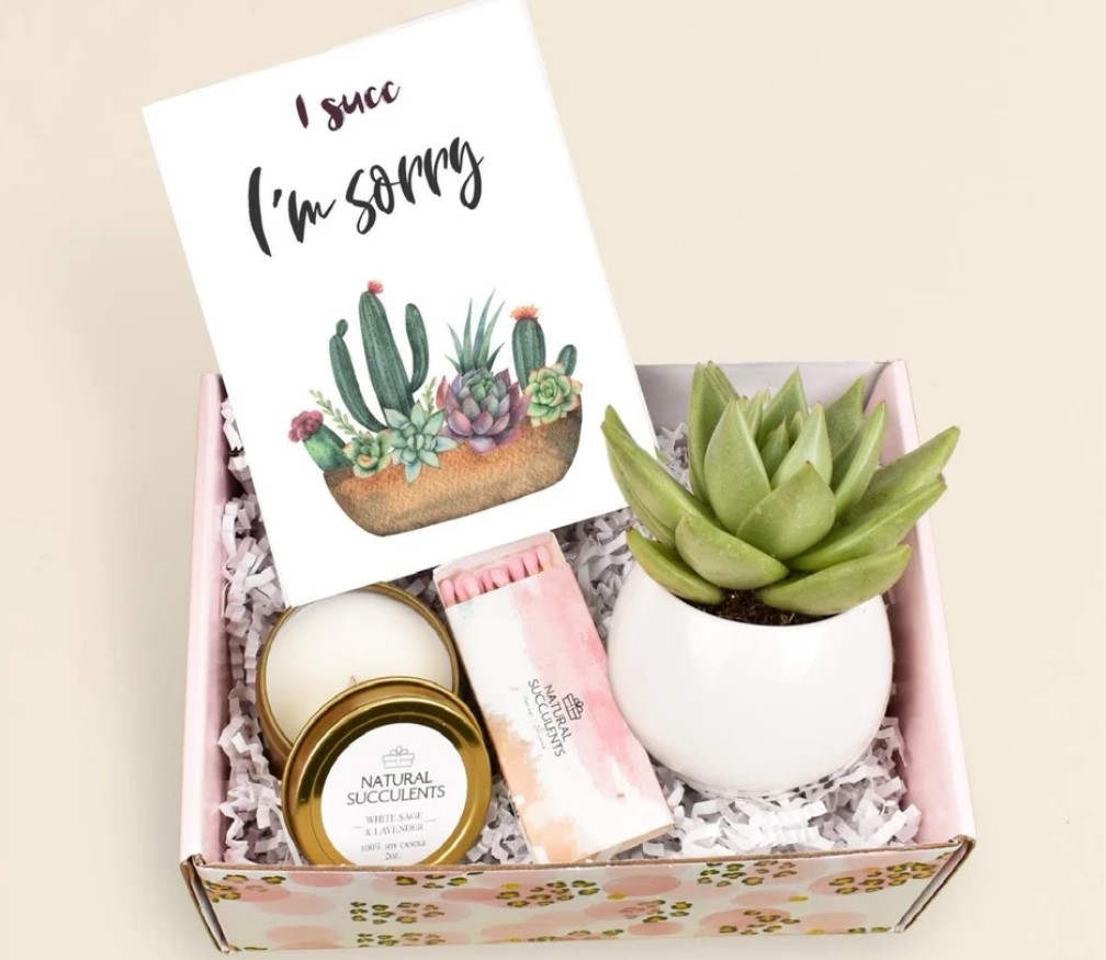 Apology Gift Box 