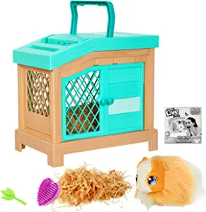 Guinea Pig and her Hutch for kindergarten
