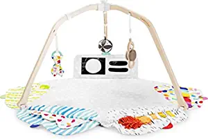 Gym & Play Mat for Baby to Toddler
