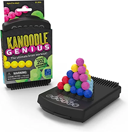 Kanoodle Genius 3-D Puzzle