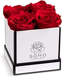 Soho Floral Arts Get well soon gift ideas for him
