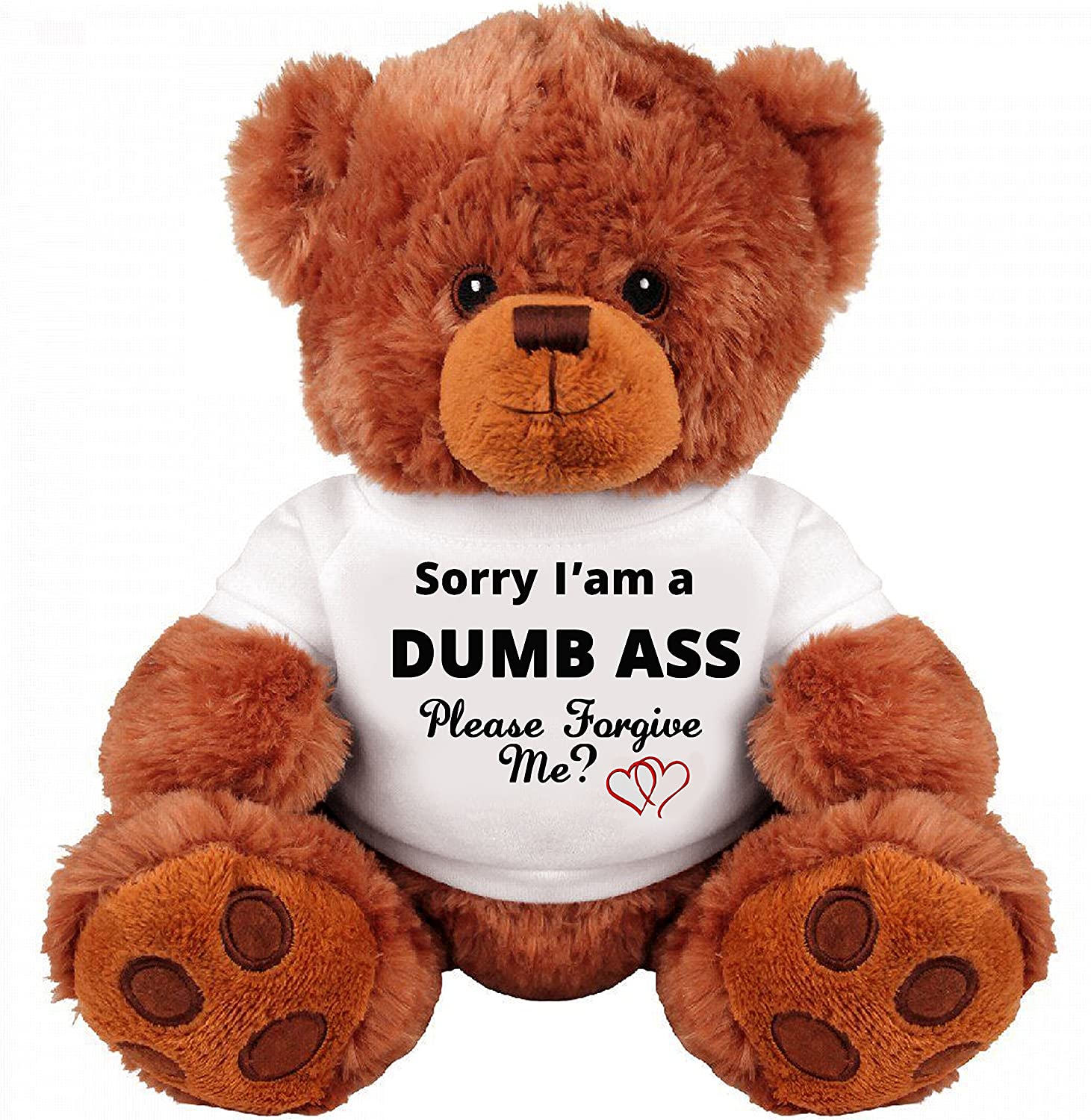 Teddy Bear With Sorry Saying 