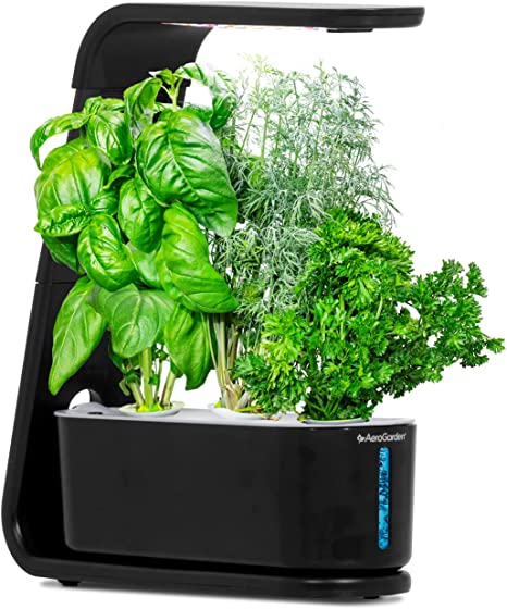 AeroGarden Sprout with Gourmet Herbs Seed Pod Kit 
