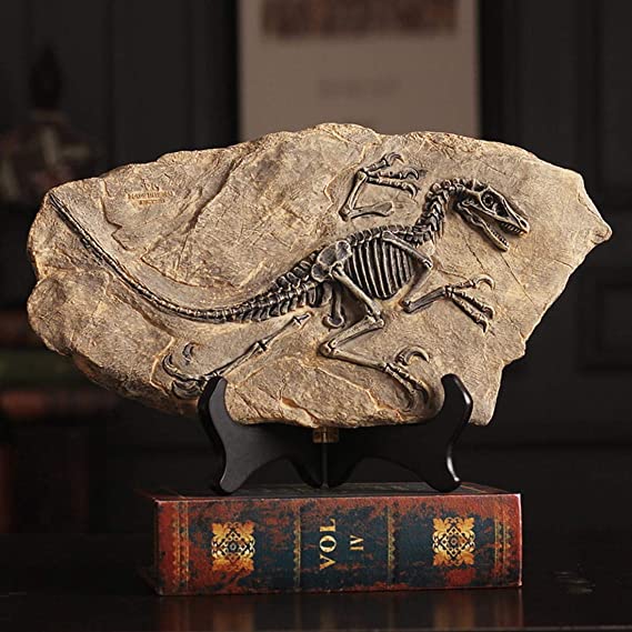 Dinosaur Fossil Statue Model