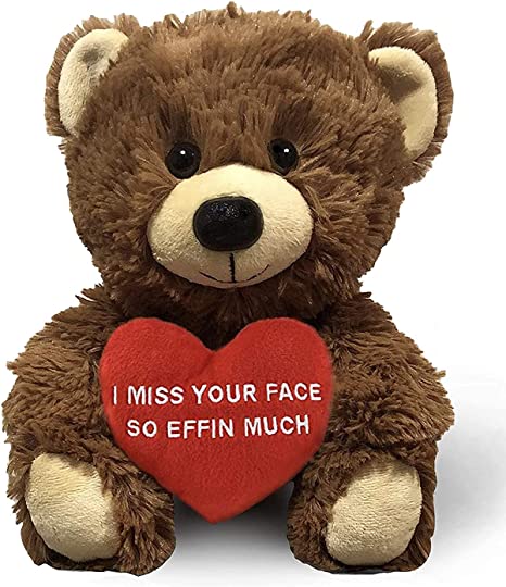 I Miss Your Face So Effin Much - 10" Teddy Bear & Gift Bag
