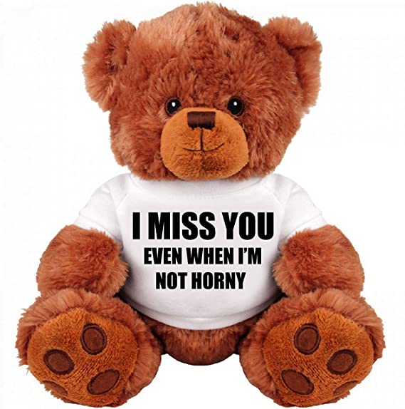 Medium Teddy Bear Stuffed Animal : I Miss You
