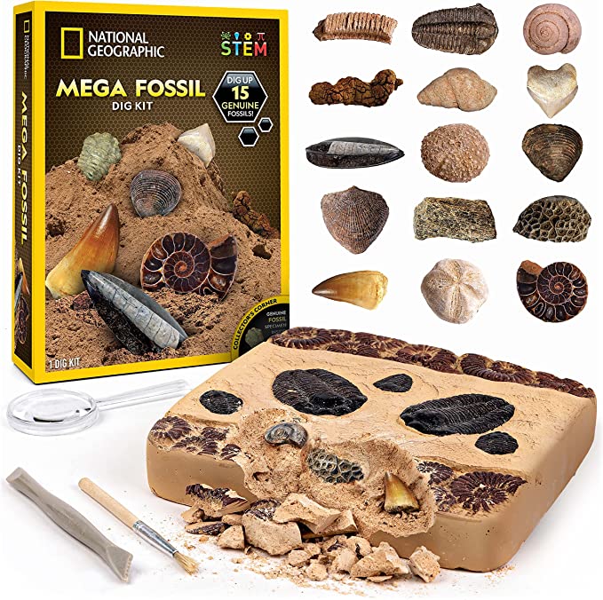 NATIONAL GEOGRAPHIC Mega Fossil Dig Kit