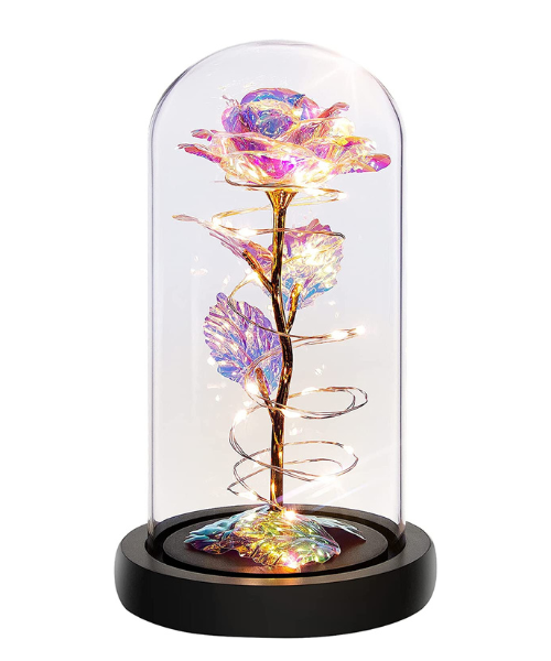 rainbow light up rose in a glass done