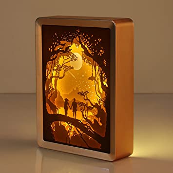 3D Papercut Light Boxes 