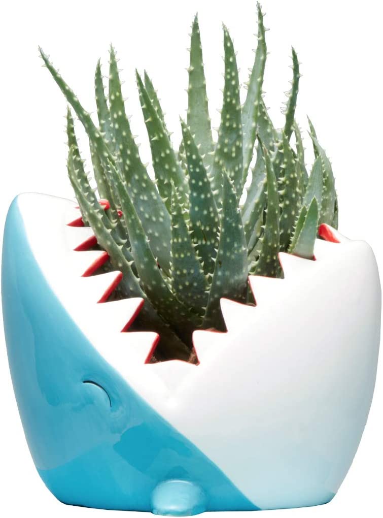 Ceramic Shark Flower Planter Pot