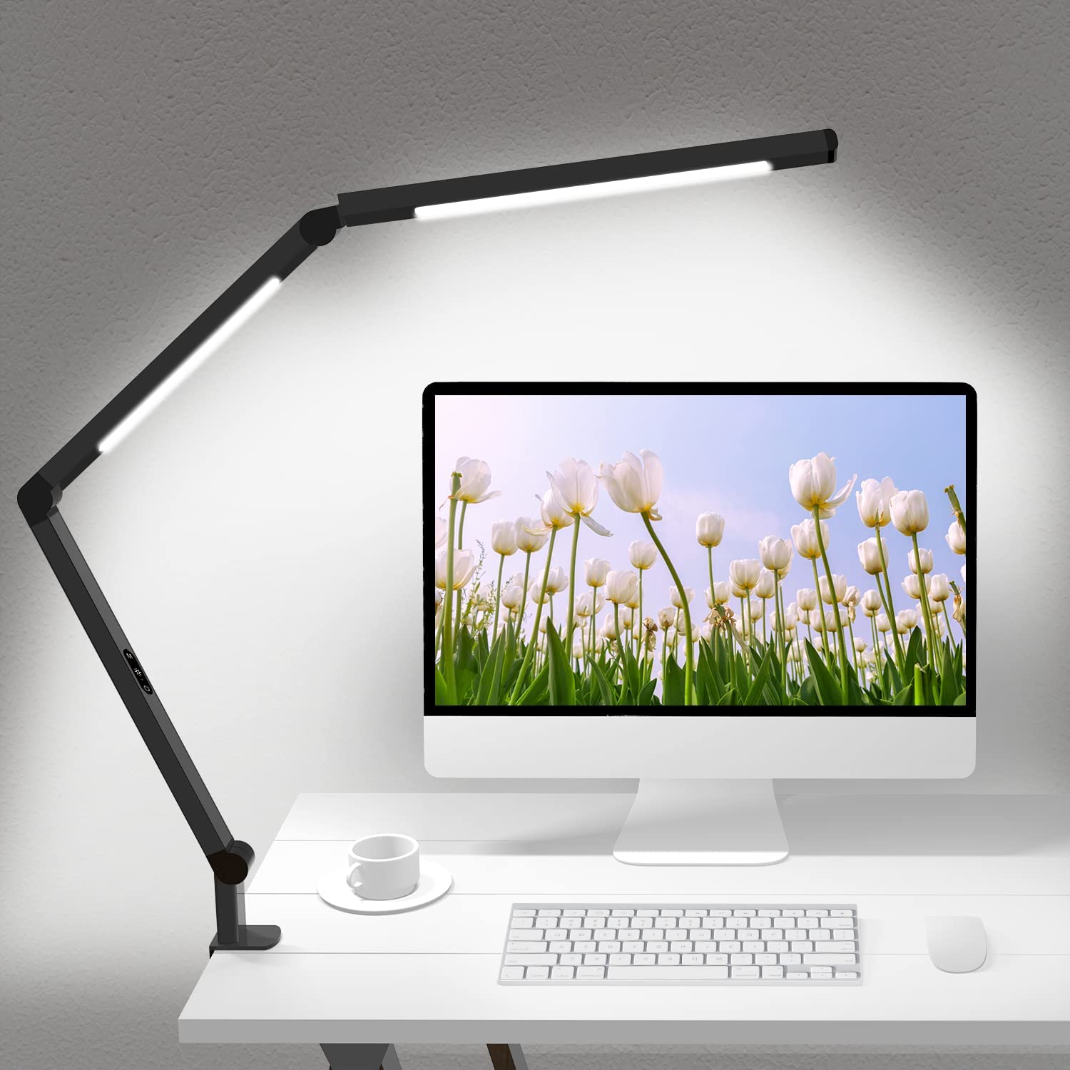 Desk Lamp with Clamp
