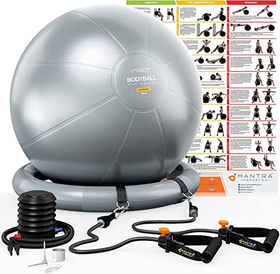 Exercise Ball Chair 31 Best Gift Ideas for Therapists