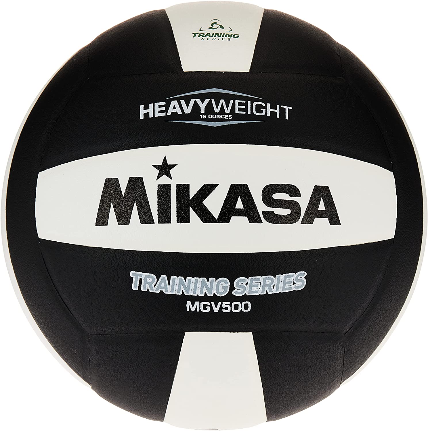 Heavy Weight Volleyball