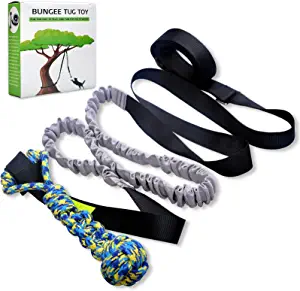 Outdoor Hanging Bungee Tug Dog Toy