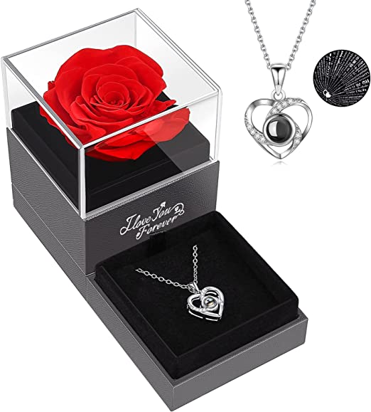 Preserved Red Real Rose with I Love You Necklace