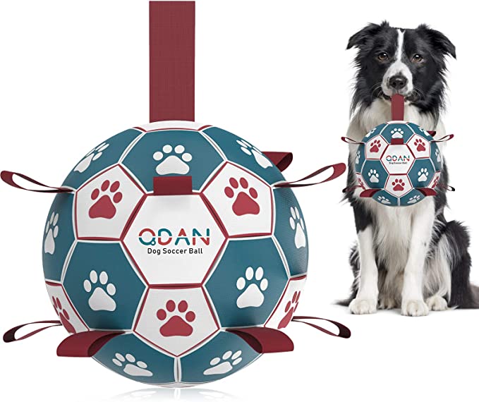 Soccer Ball for Dog