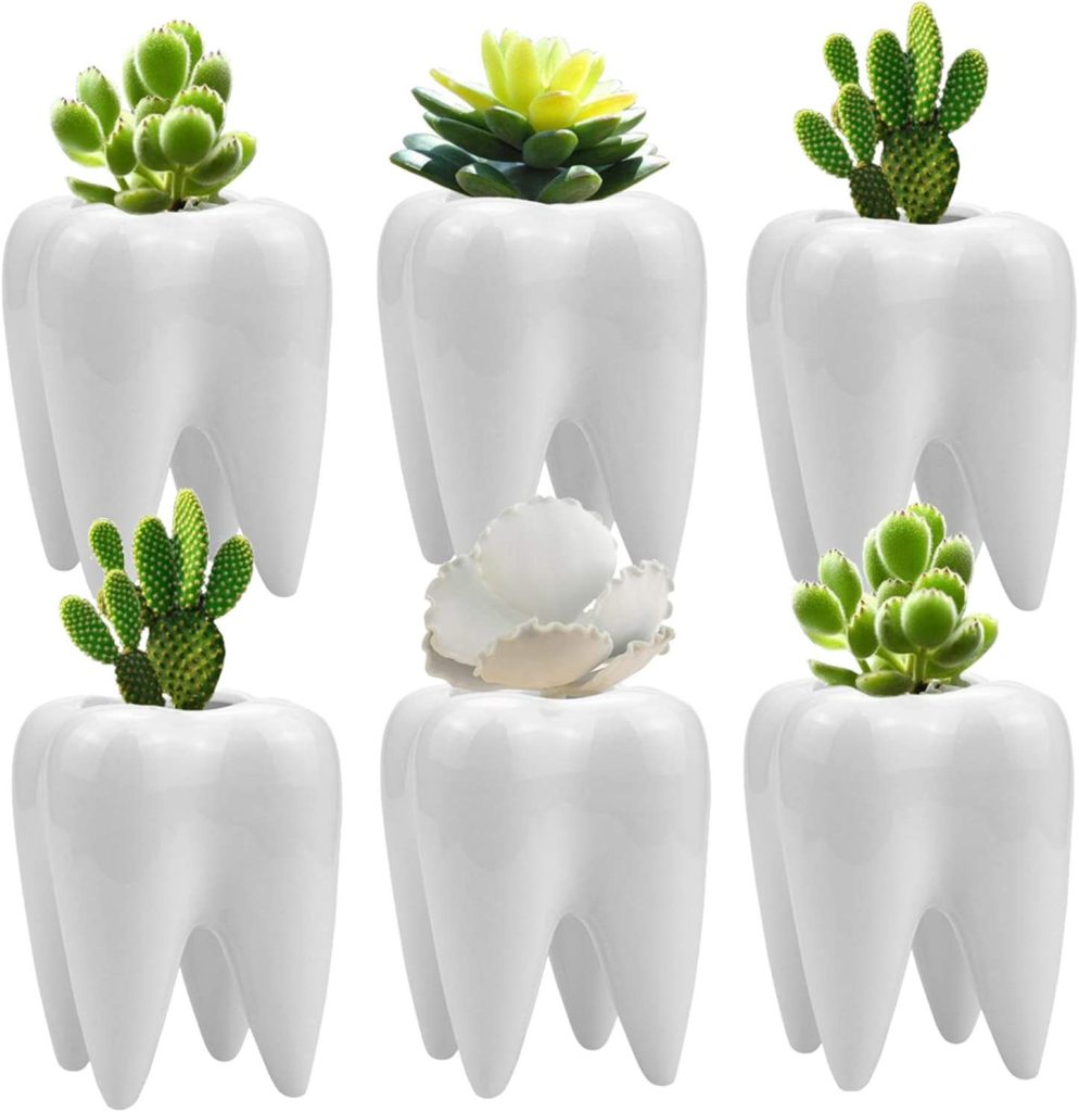 Tooth Shaped Planter Pots