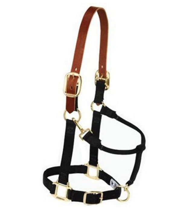 Weaver Leather Halter 