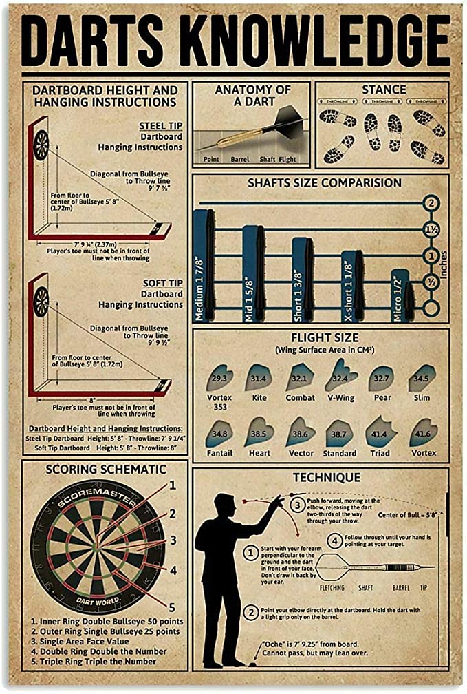 Darts Knowledge Wall Poster