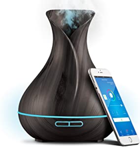 Ultrasonic Diffuser & Humidifier