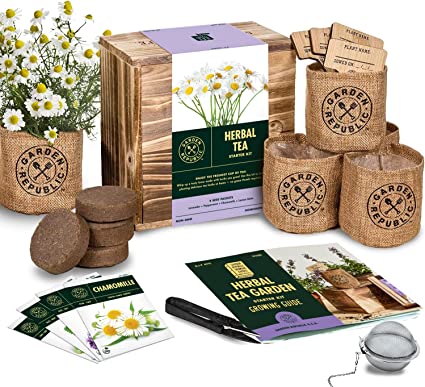 Herb Garden Kit Indoor