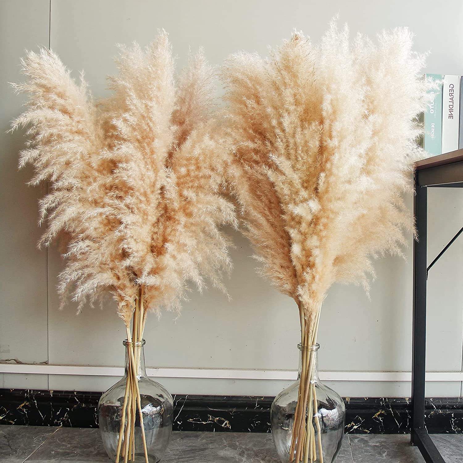 Stems Natural Pampas Grass Decor Tall