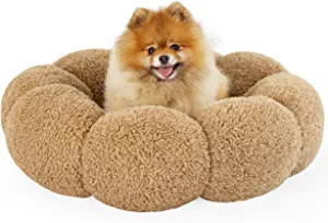 Calming Small Dog Bed
