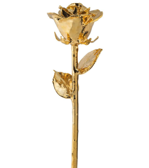 Real 24K Gold Rose