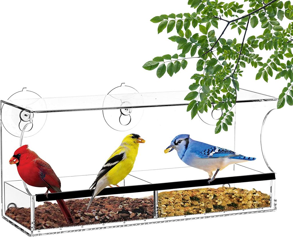Bird Feeders with Strong Suction Cups