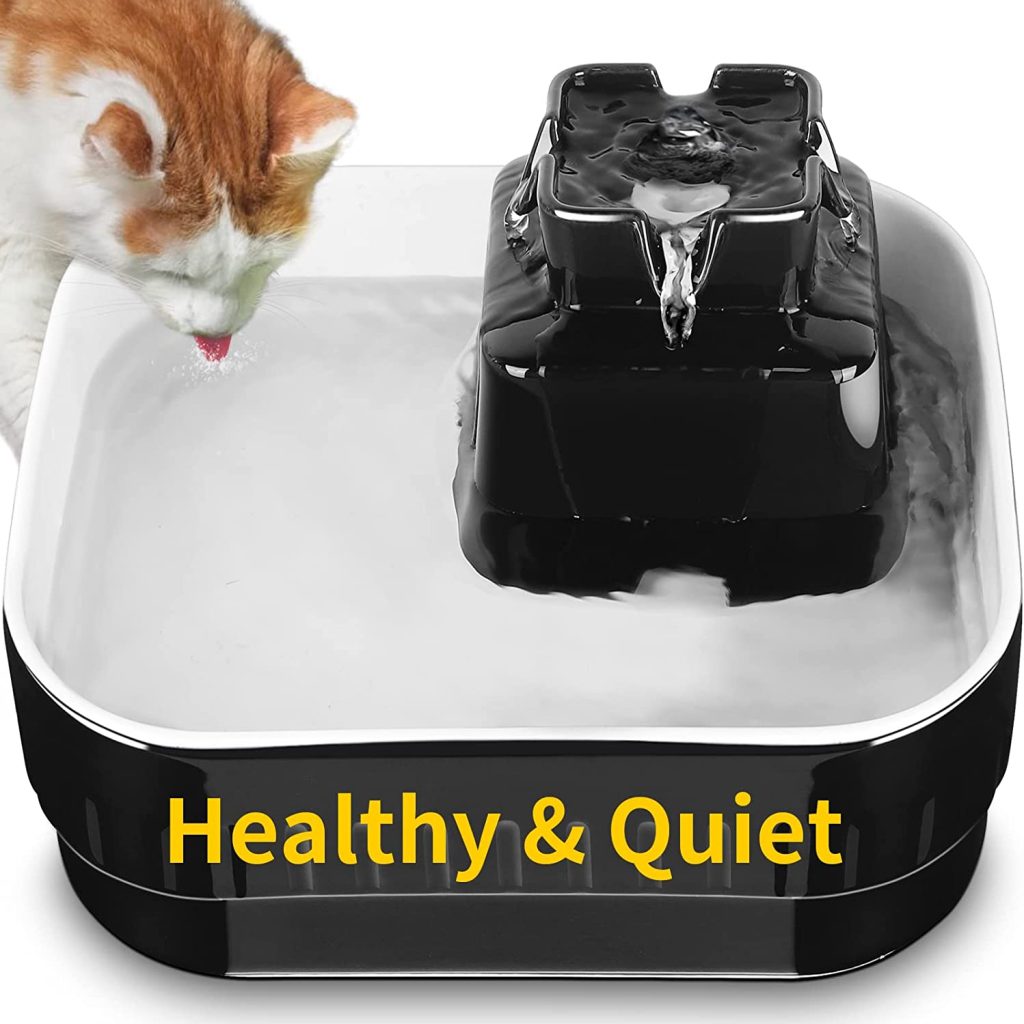 Cat Water Fountain