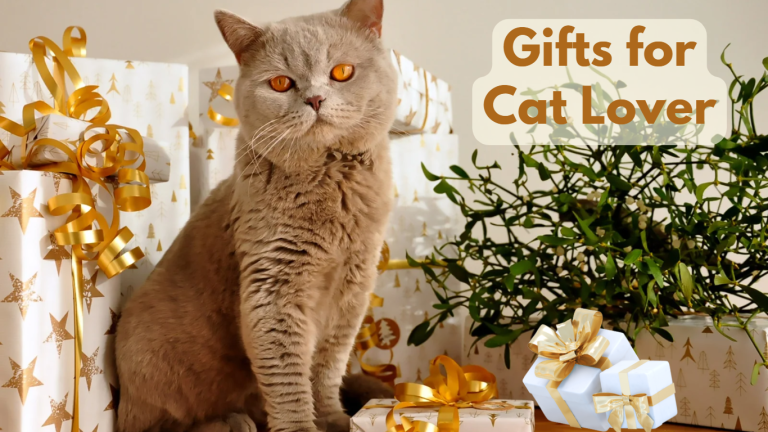 Top 28 Gifts for Cat Lover