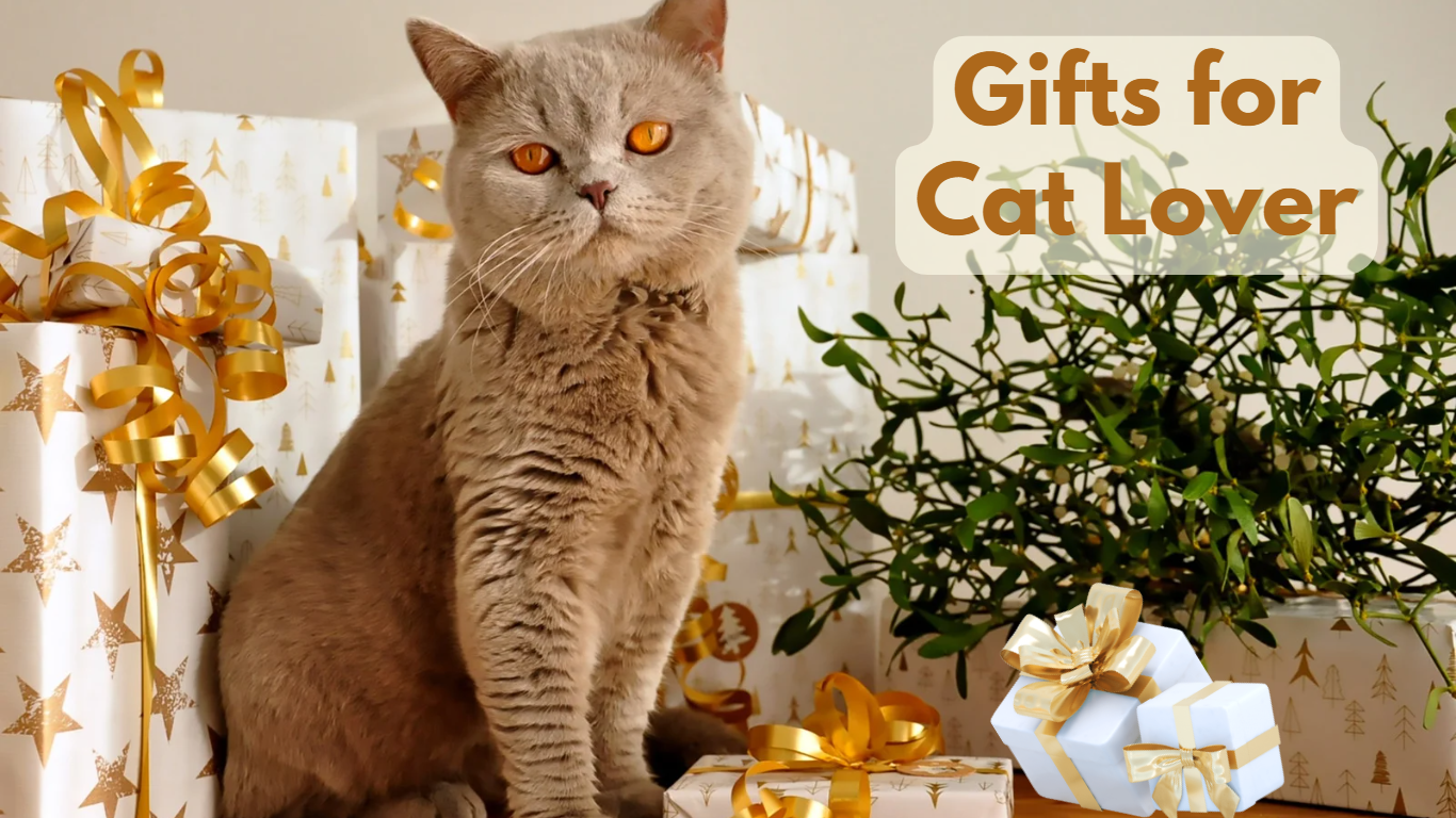 Gifts for Cat Lover