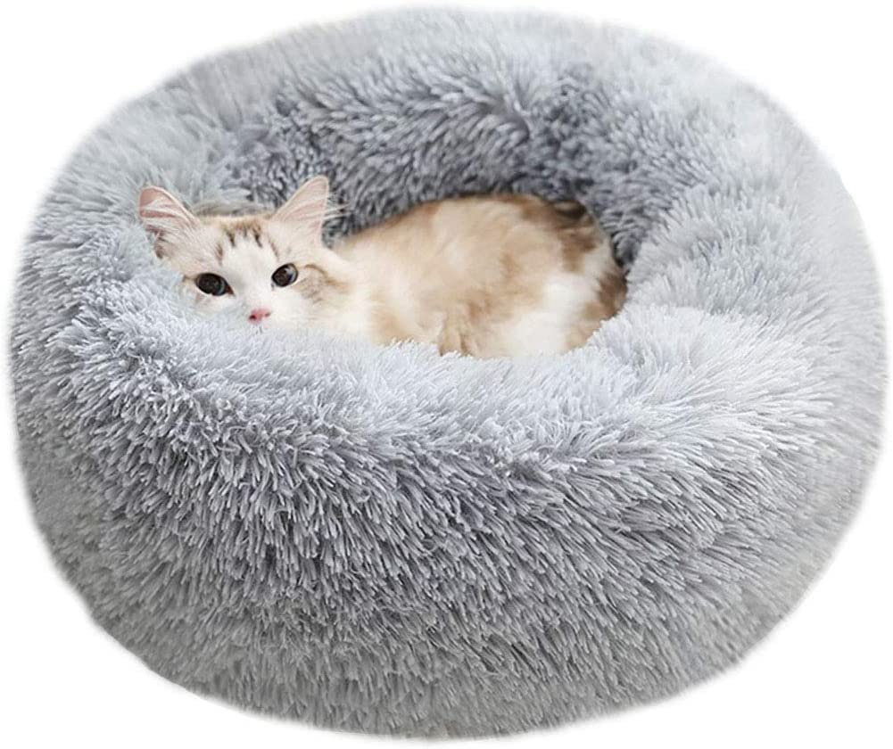 Pet Bed 